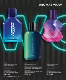 Catálogo Cyzone Página 102