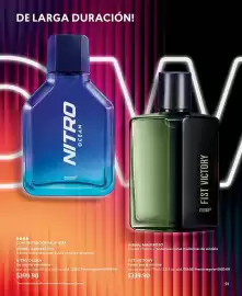 Catálogo Cyzone Página 99