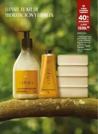 Catálogo Natura Página 103