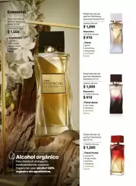 Catálogo Natura Página 37