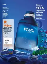 Catálogo Natura Página 43