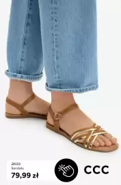 CCC gazetka Strona 7