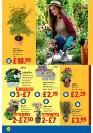 Lidl leaflet week 18 Page 20