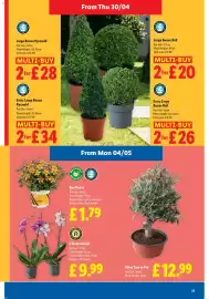 Lidl leaflet week 18 Page 21