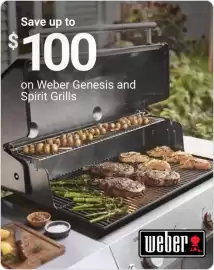 Ace Hardware flyer Page 17