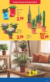 Catálogo Lidl semana 19 Página 51