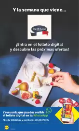 Catálogo Lidl semana 19 Página 28