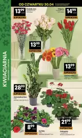 Delikatesy Centrum gazetka tydzień 18 Strona 38