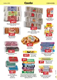 Qanto leták Strana 113