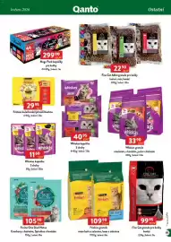 Qanto leták Strana 161