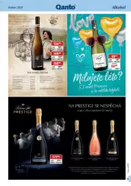 Qanto leták Strana 43