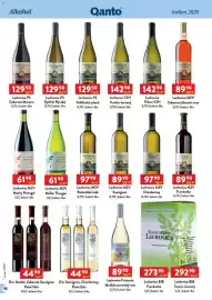 Qanto leták Strana 48