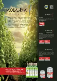 Qanto leták Strana 55