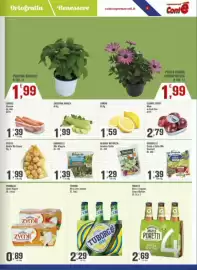 Volantino Conté Supermercati Pagina 5