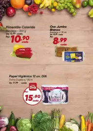 Tabloide Dia Página 2