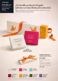 Catálogo Yanbal Página 24