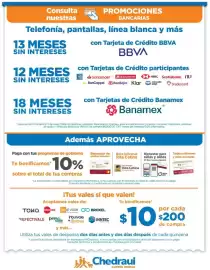 Folleto Chedraui Página 17