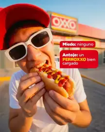 Catálogo Oxxo semana 18 Página 2