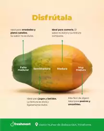 Catálogo Freshmart Página 2