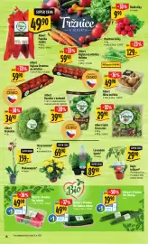 Albert leták týden 18 Strana 12