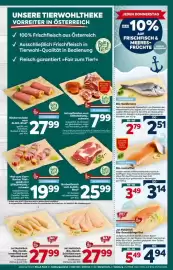 Billa Flugblatt woche 18 Seite 9