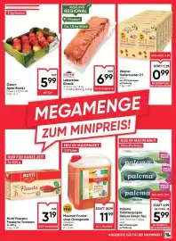 Maximarkt Flugblatt woche 18 Seite 13