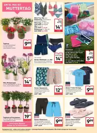 Maximarkt Flugblatt woche 18 Seite 18