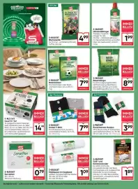 Maximarkt Flugblatt woche 18 Seite 20
