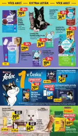 Albert leták | Supermarket Strana 36