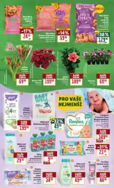 Billa leták týden 18 Strana 9