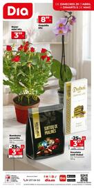 Catálogo Maxi Dia semana 18 Página 12