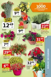 Auchan gazetka tydzień 18 Strona 5