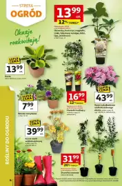 Auchan gazetka tydzień 18 Strona 6