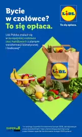 Lidl gazetka Strona 101