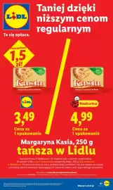 Lidl gazetka Strona 31