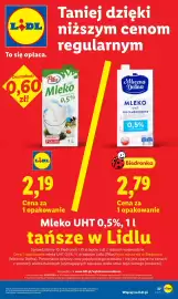 Lidl gazetka Strona 37