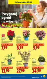 Lidl gazetka Strona 97