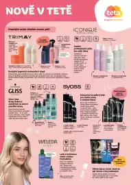 Teta leták Strana 1