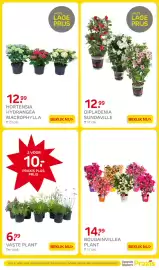 Praxis folder week 18 Pagina 3