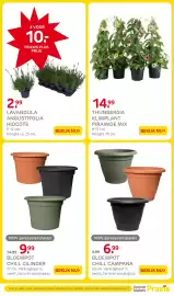 Praxis folder week 18 Pagina 4