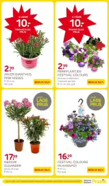 Praxis folder week 18 Pagina 5