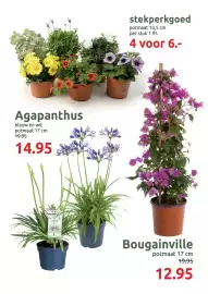 Deka Tuin folder Pagina 6