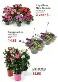 Deka Tuin folder Pagina 7