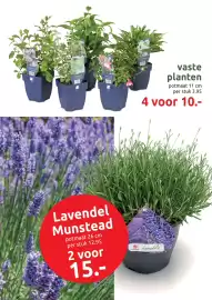 Deka Tuin folder Pagina 8