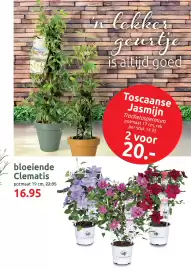 Deka Tuin folder Pagina 9