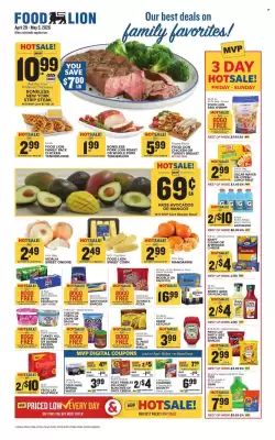 Food Lion (valid until 5-05)