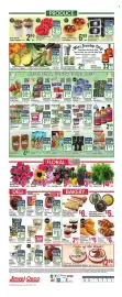 Jewel-Osco weekly ad Page 12