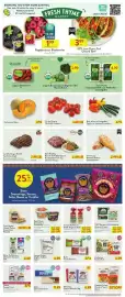 Fresh Thyme weekly ad week 18 Page 3