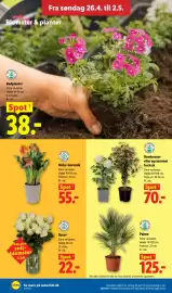Lidl tilbudsavis Side 10