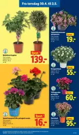 Lidl tilbudsavis Side 11